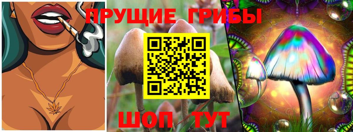Галлюциногенные грибы Magic Shrooms Алатырь